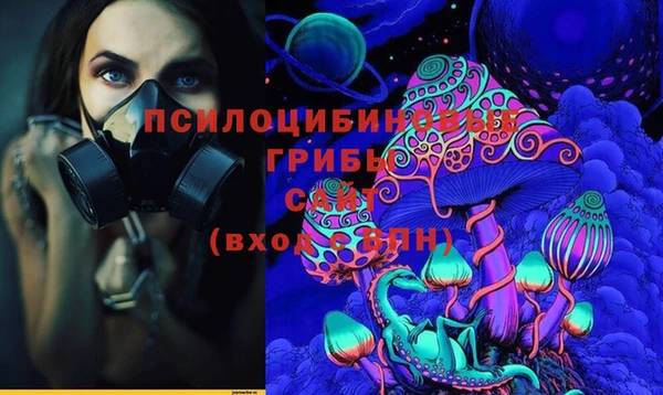 PSILOCYBIN Михайловка