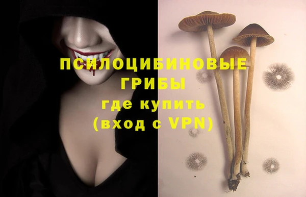 винт Михайловск
