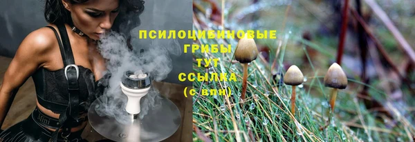 ALPHA PVP Киселёвск